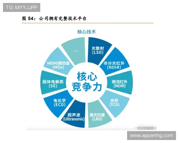 皇冠旗舰平台全面升级,提供一站式解决方案满足多样化需求 皇冠旗舰平台全面升级,提供一站式解决方案满足多样化需求
