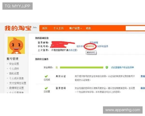 皇冠登陆入口多渠道登录指南,保障您的账户安全与便捷