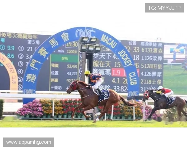 澳门赛马规则与国际比赛标准的对比分析及适应性探讨