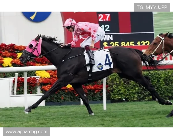 hkjc网娱乐：利用香港赛马会在线平台进行体育与赛马投注的实用技巧与建议