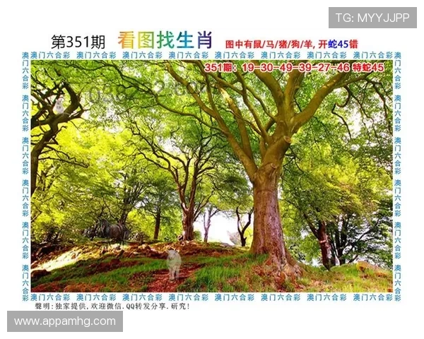 澳门财神线上官网安全可靠，提供丰富的游戏选择和优质的客户服务体验
